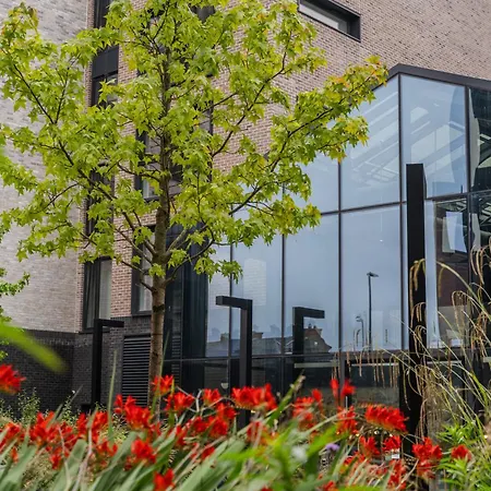 Destiny - Ardee Point