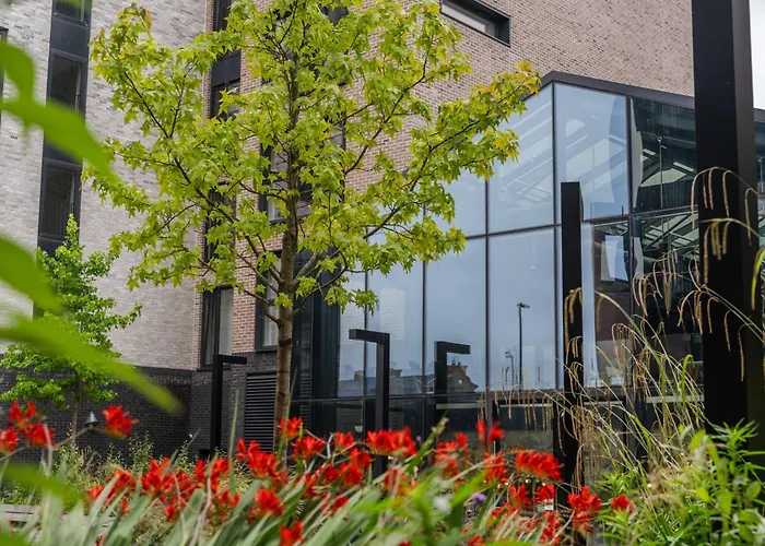 Destiny - Ardee Point